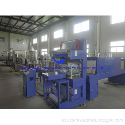 2 in 1 PET bottled apple juice filling production line